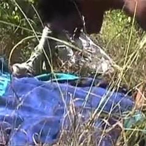 En Foret Part Free Gay Amateur Porn Video C Xhamster Xhamster