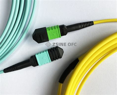 Om3 Multi Mode MPO MPO Patch Cord MPO Connector China Fiber Optic