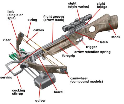 Barnett Crossbow Replacement Parts | Reviewmotors.co