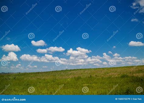 Campo Verde Y Cielo Azul Con Las Nubes Imagen De Archivo Imagen De