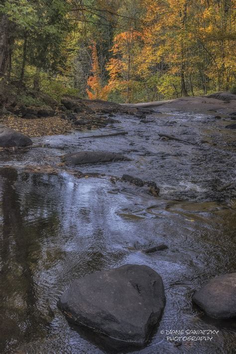 Muskoka Fall Colours - DIANE SAWATZKY PHOTOGRAPHY