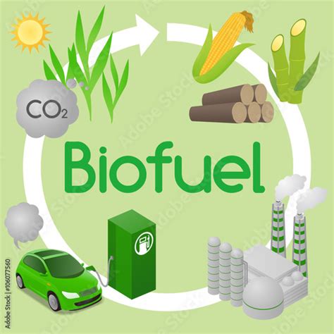 Biofuel Life Cycle Biomass Ethanol From Corn Sugarcane Wood