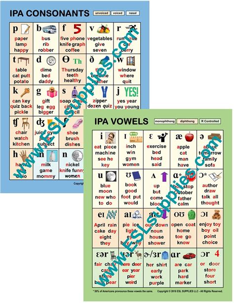 Consonants - IPA - ESL Phonics Poster, English Anchor Chart, Literacy ...