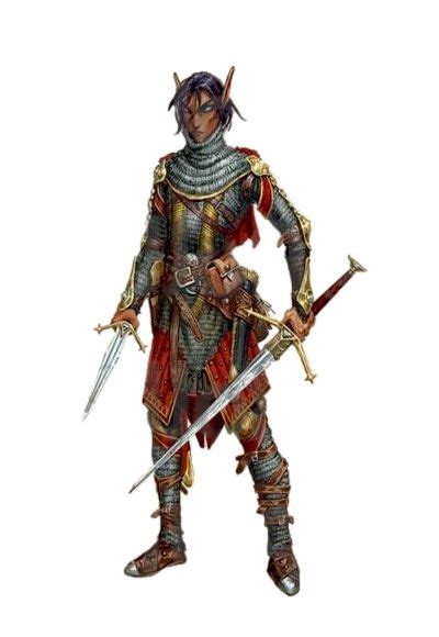 Male Elf Fighter Chainmail Pathfinder 2e Pfrpg Pfsrd Dnd Dandd 35 4e