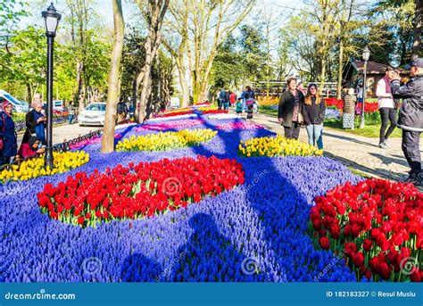 Istanbul Tulip Festival In Emirgan Park Editorial Photography Image