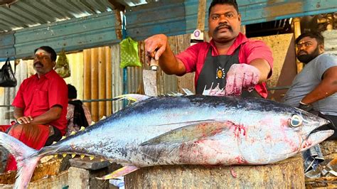 Kasimedu Speed Selvam Big Yellow Fin Tuna Fish Cutting In