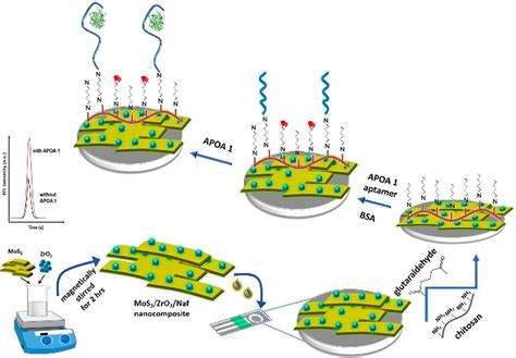 Label Free Electrochemiluminescence Nano Aptasensor For The