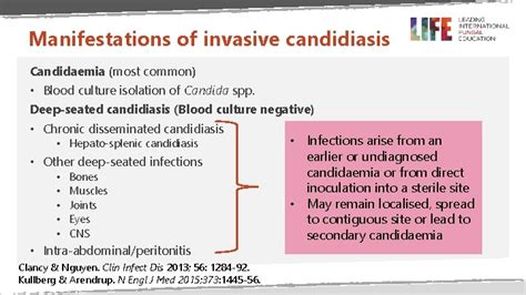 Invasive Candidiasis Part Aetiology Pathogenesis Clinical Manifestation