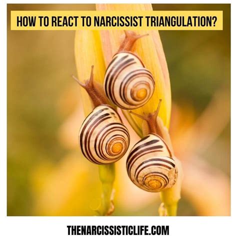 How To React To Narcissist Triangulation Explained With Real Life