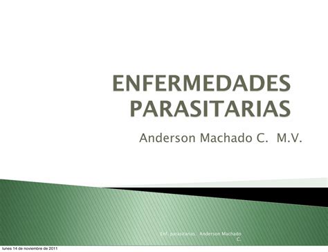 Pdf Enfermedades Parasitarias Veterinaria Machado · Los Gatos Domésticos Y Otros Felinos Son