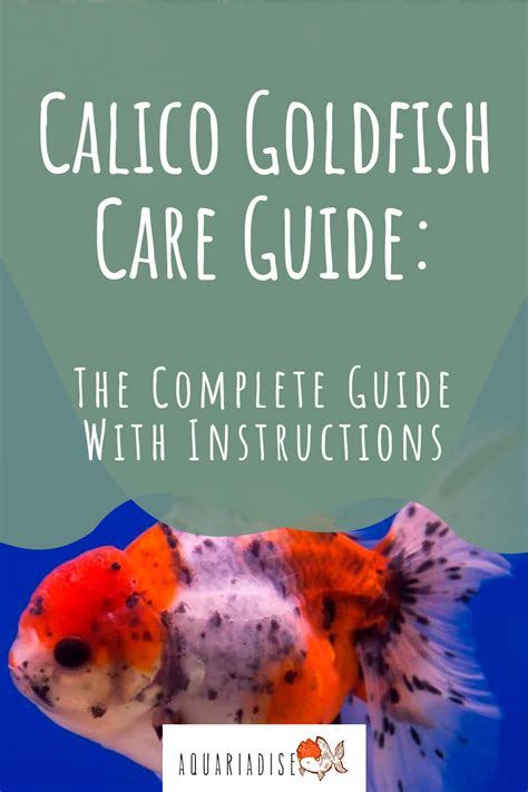 Calico Goldfish (Carassius auratus) Care Sheet & Information