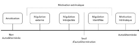 Les différents types de motivation en fonction du degré Download