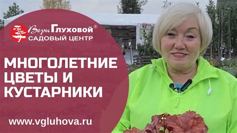 Многолетние цветы и кустарники -30% СКИДКА - YouTube