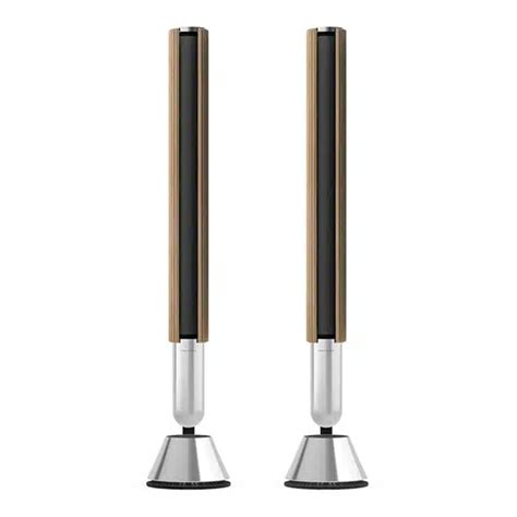 Bang Olufsen Beolab 28 Speaker Pair Silver Oak Sight And Sound