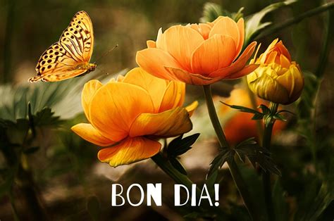 Bon Dia