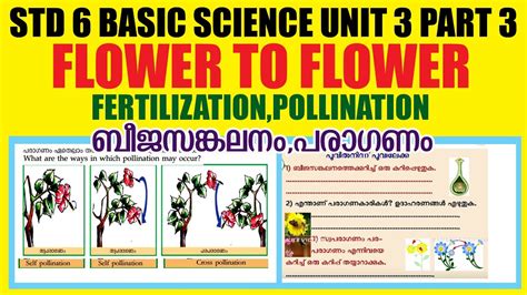 Std6 Basic Science Unit3 Flower To Flower Part3fertilization And Pollinationkite Victers