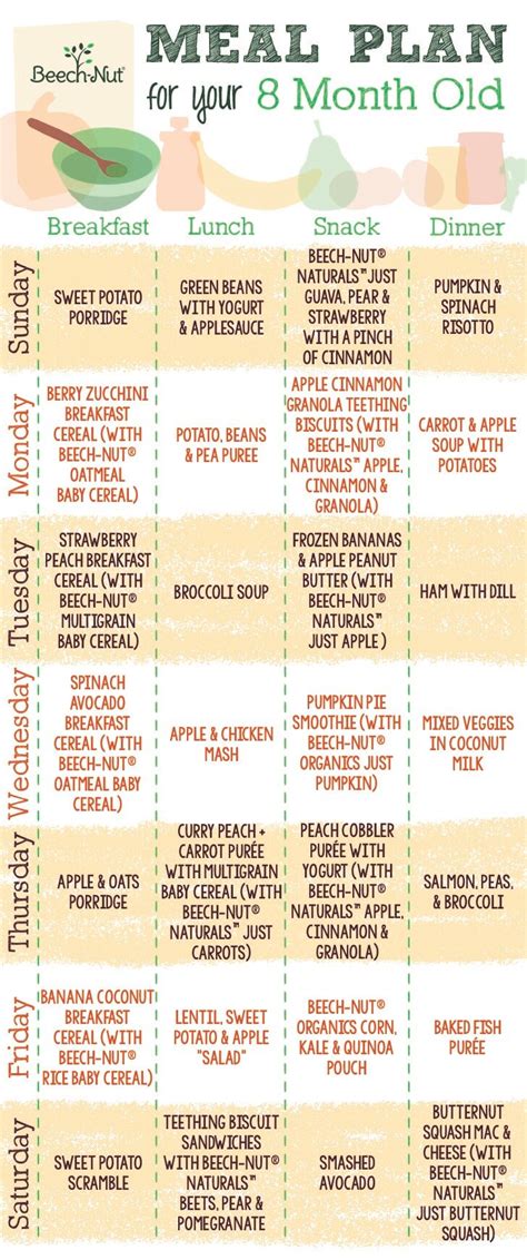 Meal Plan For 8 Month Old Beech Nut