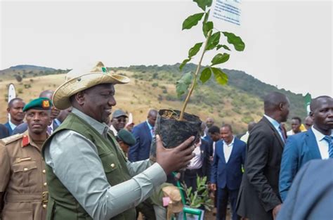 Kenya Declares A Surprise Public Holiday For A National Campaign To