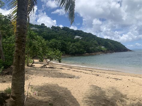 Sun, Sand, and Real Estate: Why a Beachfront Property in St. Lucia Is