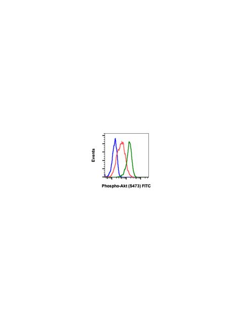 Phospho Akt1 Ser473 B9 Rabbit MAb FITC Conjugate Abwiz Bio