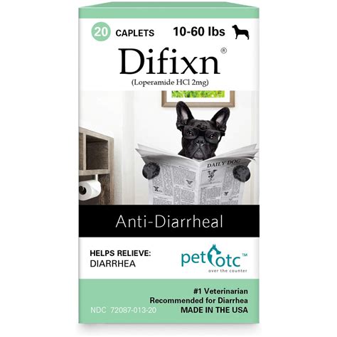 How To Stop Diarrhea In A Dog Fast