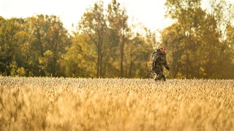 Best Sellers – Page 2 – The Mossy Oak Store