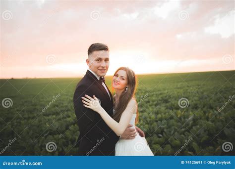 Lovely Wedding Couple Bride And Groom Posing In Field During Sunset