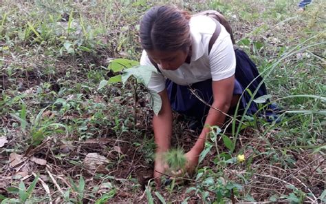 As Celebramos En Nicaragua El D A De La Madre Tierra