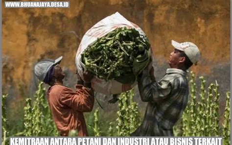 Kemitraan Antara Petani Dan Industri Atau Bisnis Terkait Membangun