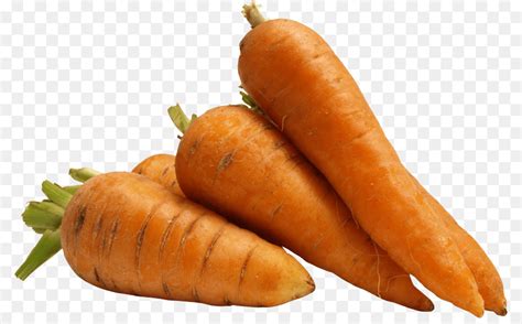 carrot carrot vector png    transparent