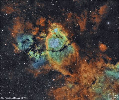 The Fish Head Nebula Ic In Cassiopeia This Is A View Flickr