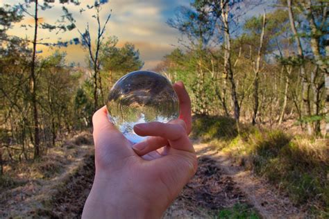 Glass Sphere Forest Bullet Free Photo On Pixabay Pixabay