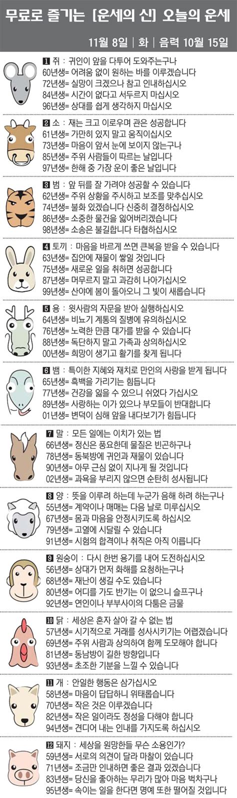 직장인을 위한 오늘의 운세 2022년 11월 8일 화요일 오늘의 띠별 스포츠조선