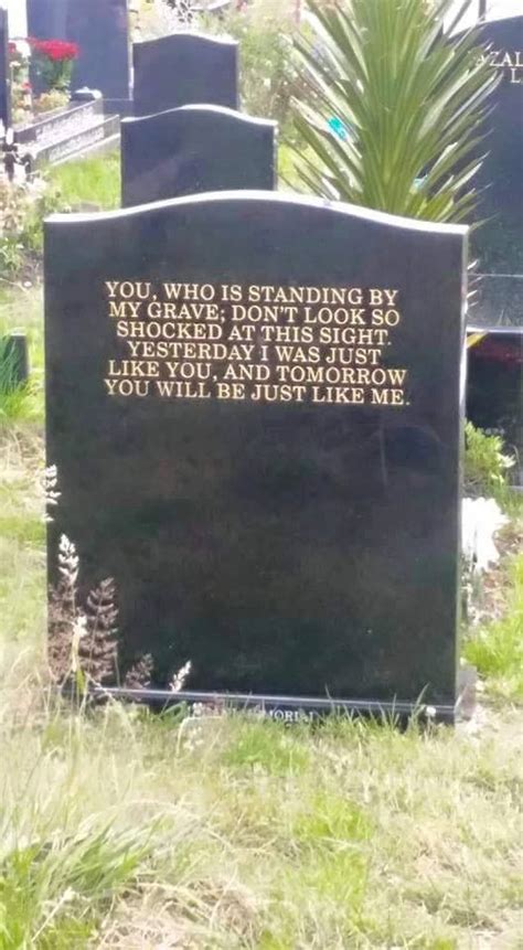 Meme - Gravestone Speaks Truth - Viral Viral Videos