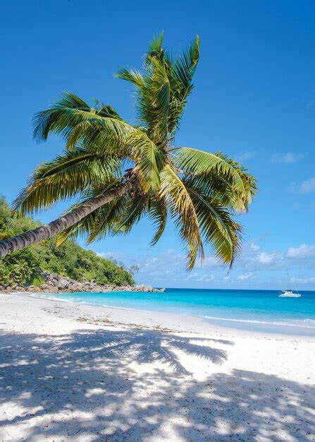 Praslin Seychelles île Tropicale Avec Plages Blanches Et Palmiers Anse