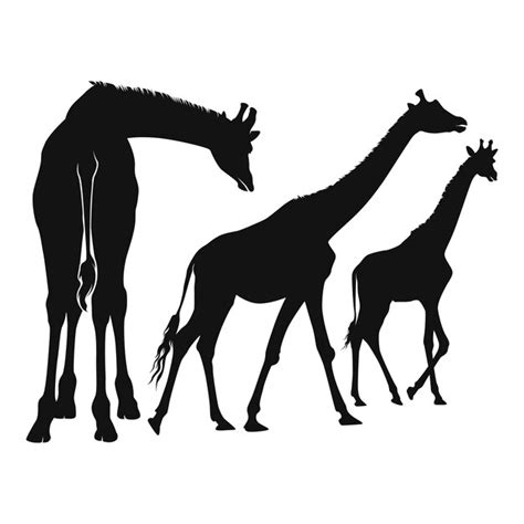 Free Vector Hand Drawn Giraffe Silhouette