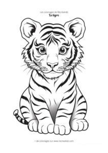 Coloriage bébé tigre | Dessin à colorier & imprimer en PDF