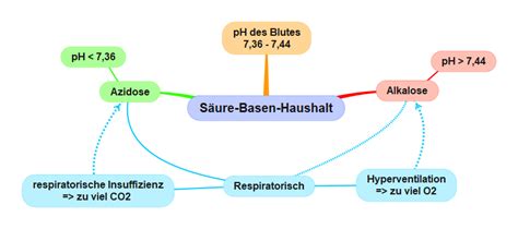 Abschnitt Le Aufgaben Der Niere Regulation Des S Ure Basen