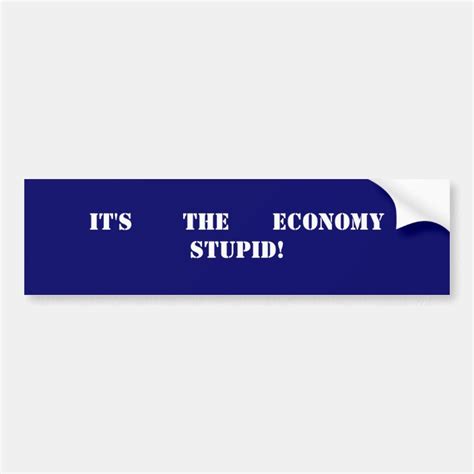 Its The Economy Stupid Bumper Sticker