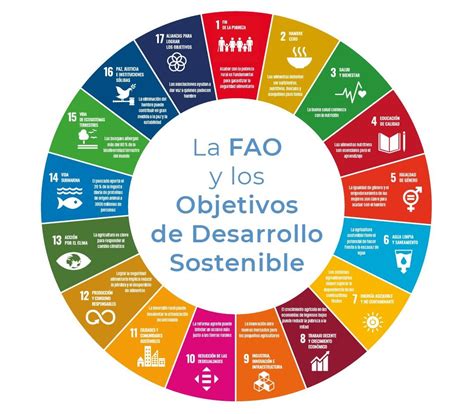 La Fao Y Los Objetivos De Desarrollo Sostenible