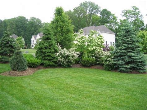 Privacy Berms Gardening Pinterest