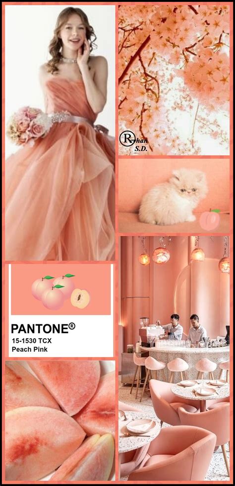 Peach Pink Pantone Autumn Winter Color By Reyhan