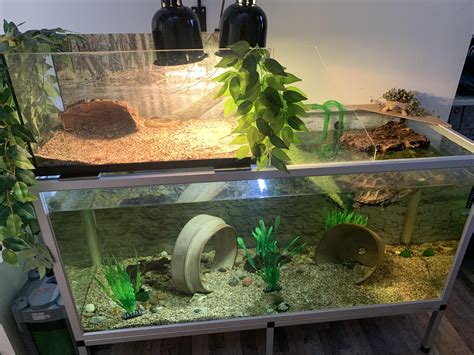 Turtle Aquarium / Turtle Tank / Aquaterrarium. : r/Aquariums