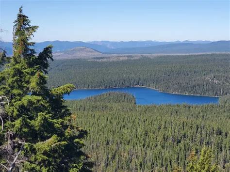 Best Hikes And Trails In Waldo Lake Wilderness Alltrails