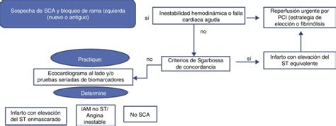 Algoritmo Diagn Stico De Infarto Agudo De Miocardio En Presencia De