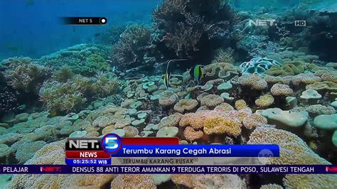 Terumbu Karang Raja Ampat Newstempo