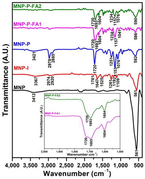 Ftir Spectra Of Mnp Black Mnp I Red Mnp P Blue Mnp P Fa1