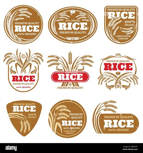 Paddy Grain Organic Rice Labels Healthy Food Vector Logos Isolated