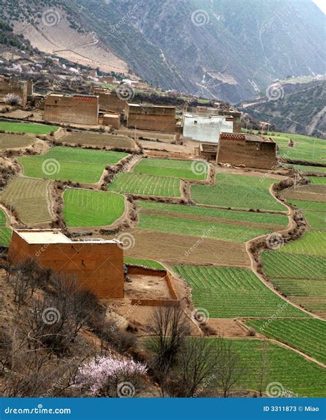 Tibet Village stock image. Image of green, farming, mountains - 3311873