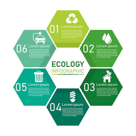 Infografía De Hexágono De Ecología Verde Con Seis Elementos Concepto